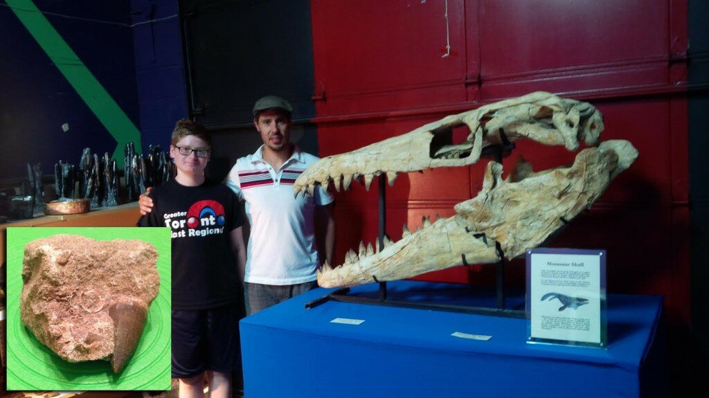 Mosasaurs Tooth & Skull Fossil