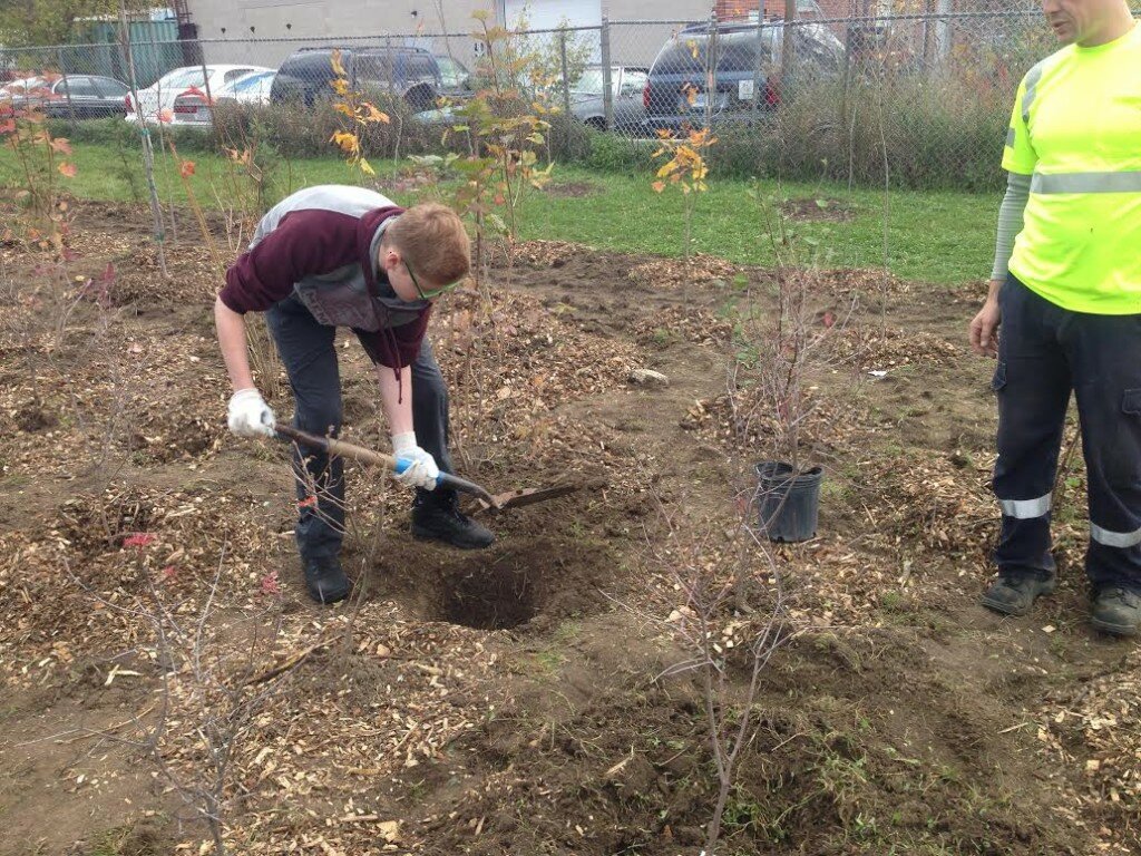 Tree Planting 1